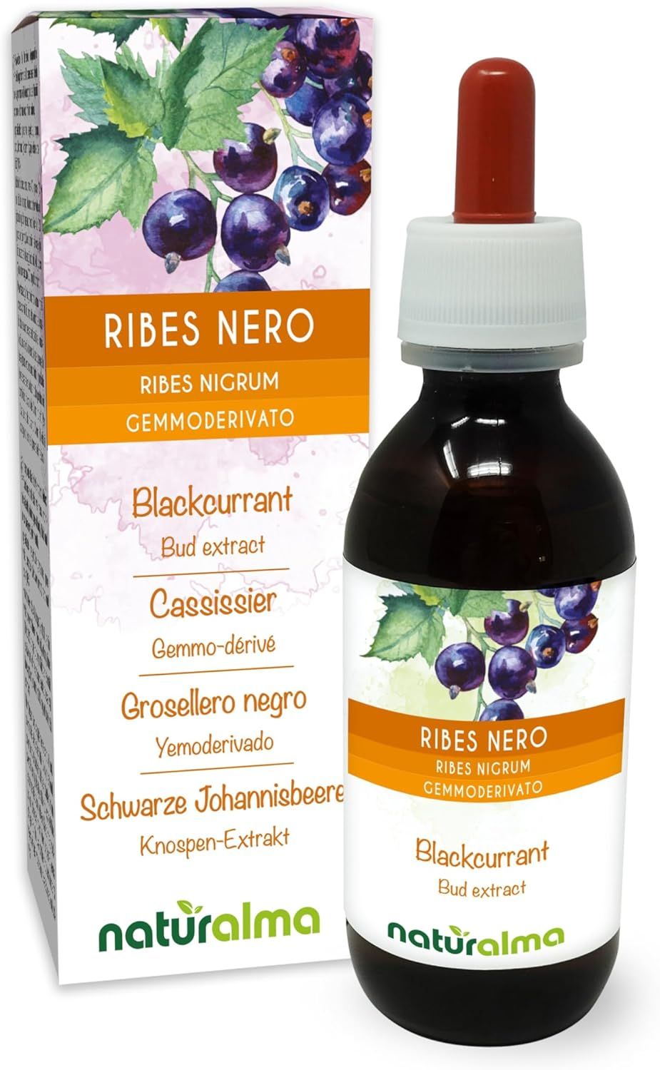 Naturalma Schwarze Johannisbeere Ribes nigrum Flüssig 120 ml