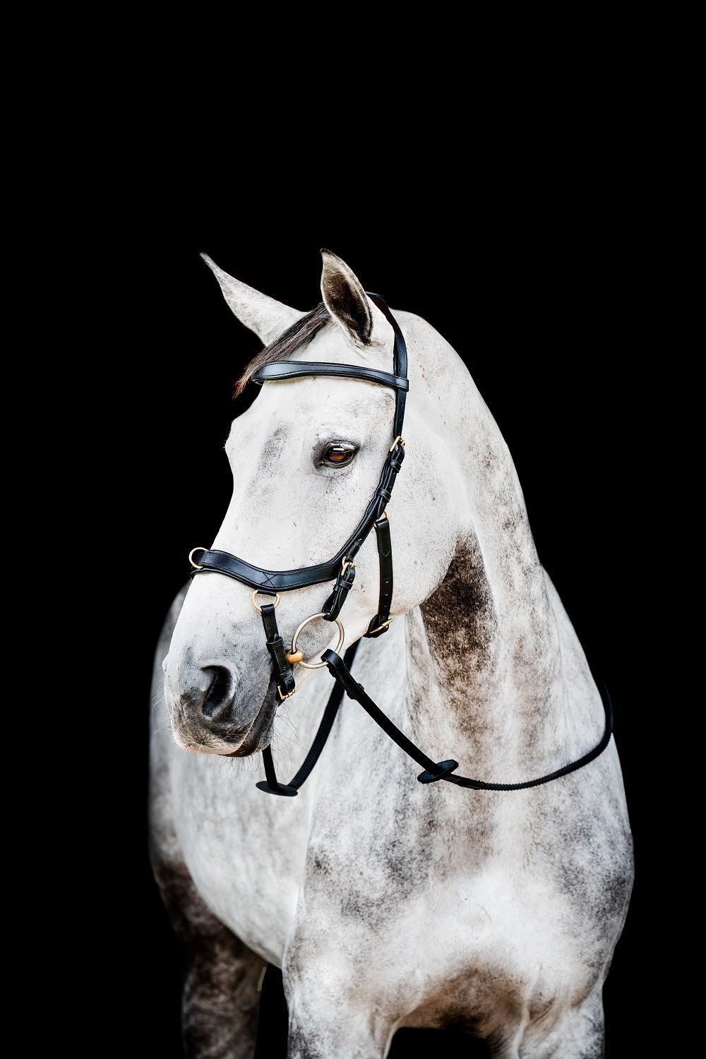 Horseware Micklem® 2 Multi Bridle