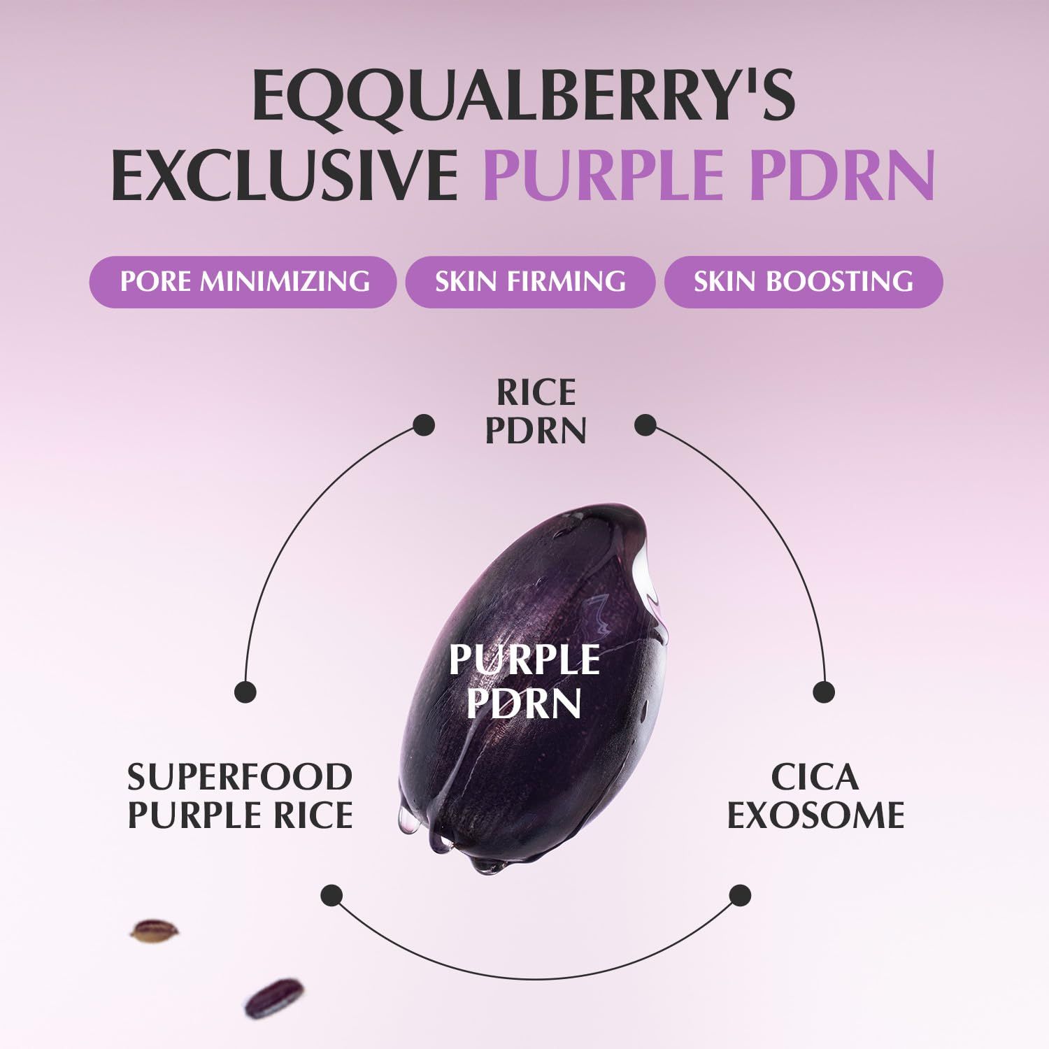 Illustration von Inhaltsstoffen. Lila Reis, Cica Exosom, Superfood Purple Rice. Text: Pore Minimizing, Skin Firming, Skin Boosting.