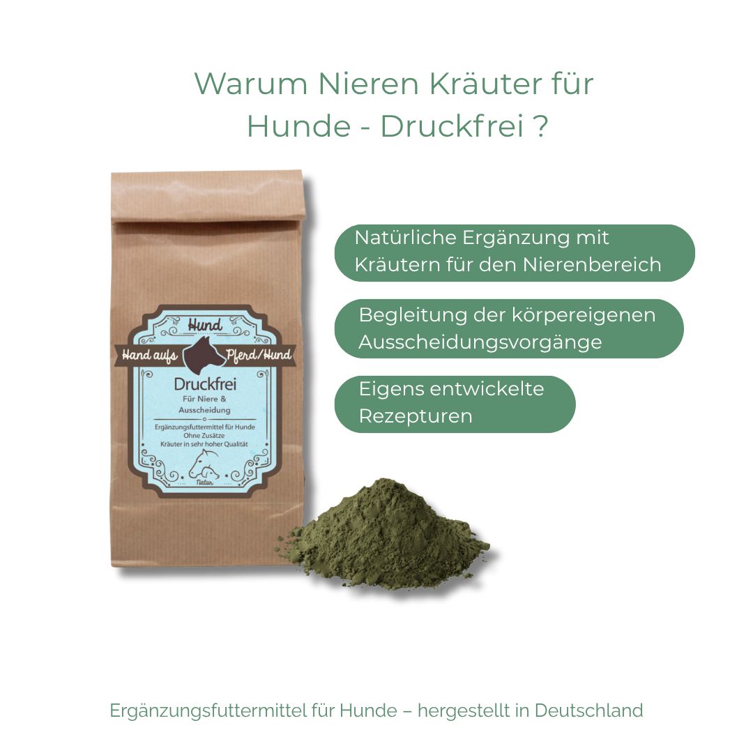 Braune Papiertüte mit blauem Etikett und Produktnamen. Daneben ein grünes Kräuterpulver. Text: "Warum Nieren Kräuter für Hunde - Druckfrei?"