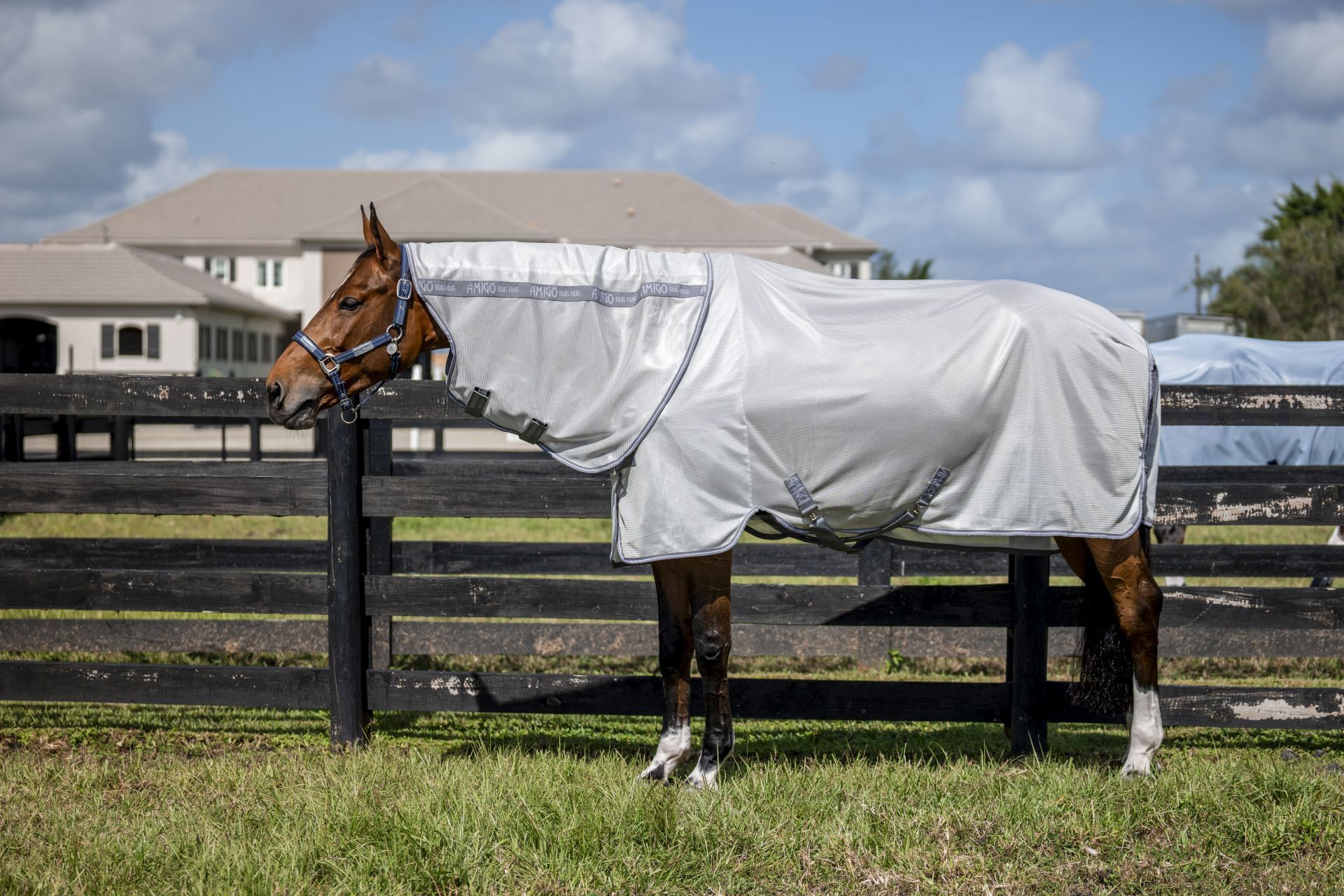 Horseware Fliegendecke Amigo Bug Rug Plus