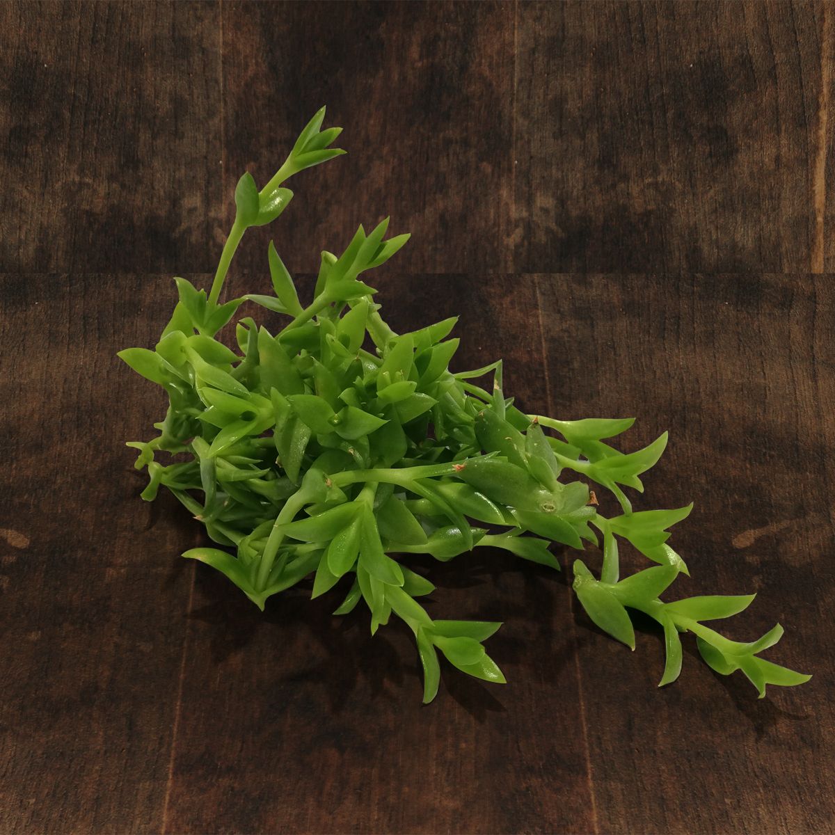 SMART GREENS KANNA  Pulver, 15g