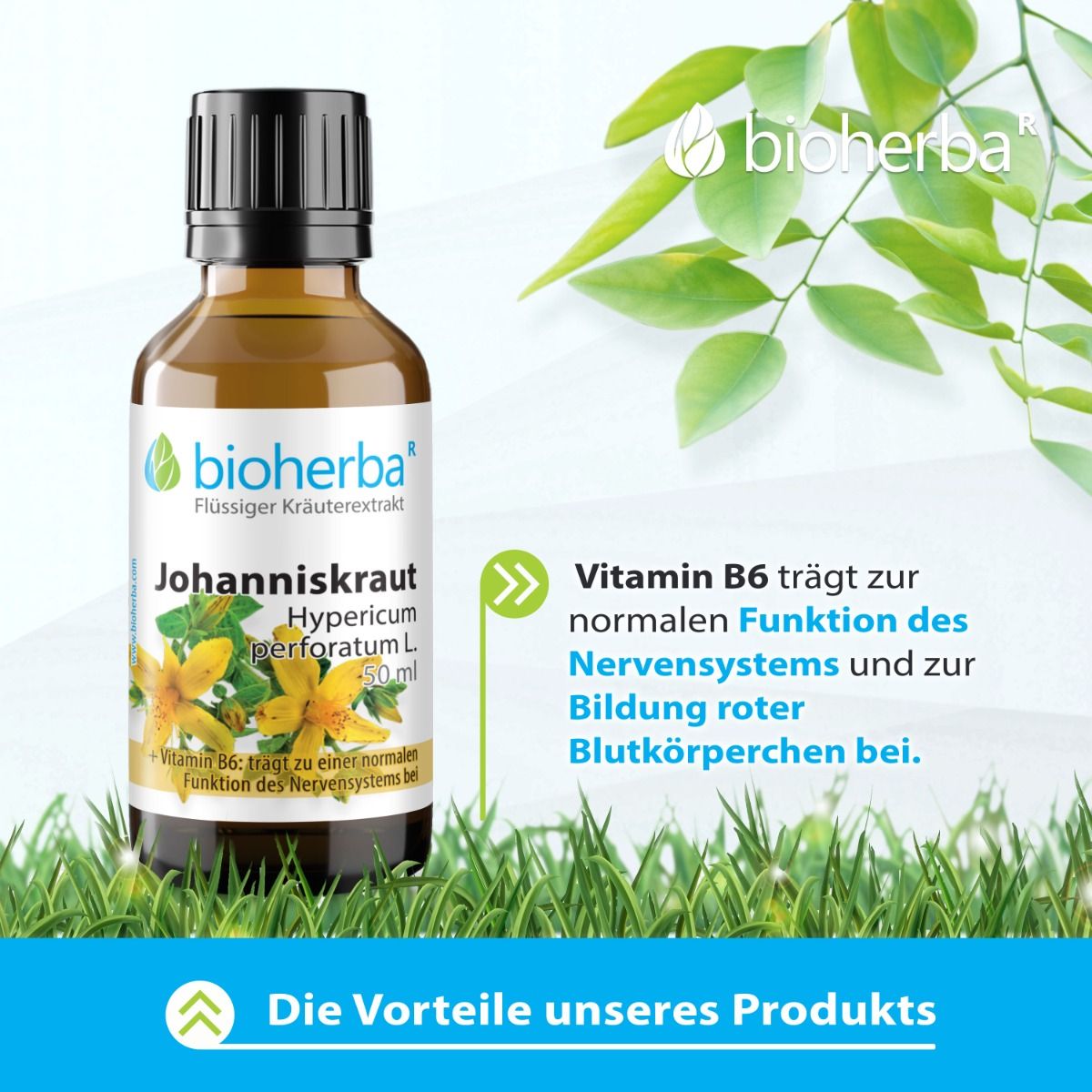 Johanniskraut Tropfen Tinktur 50 ml PZN 17187391