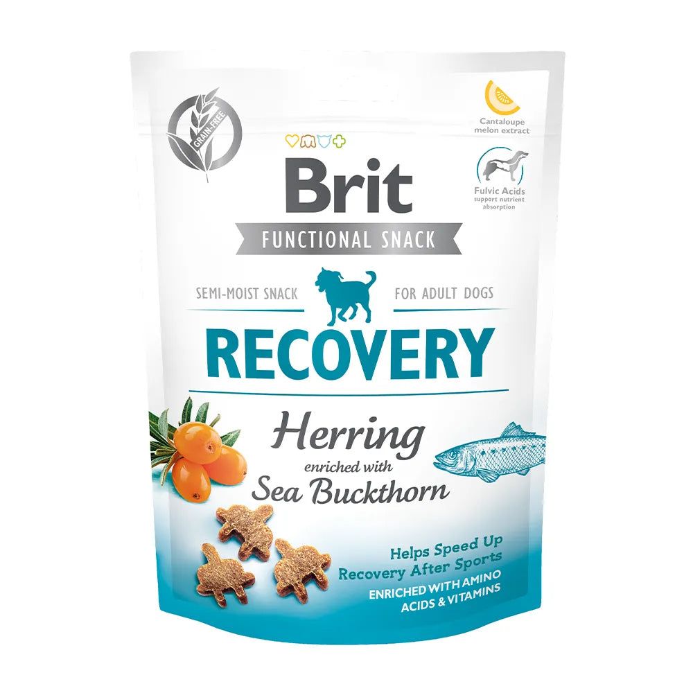 Brit Care Dog - Functional Snack - Recovery Herring - Herring enriched with Sea Buckthorn