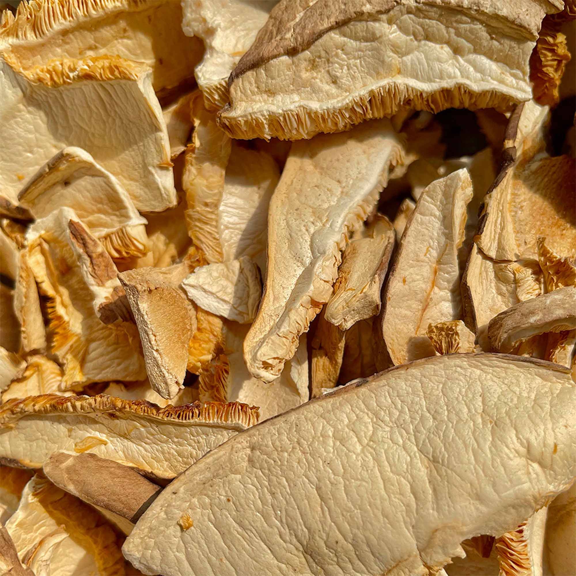 IoBoscoVivo Bio-Shiitake-Pilze, getrocknet und in Scheiben