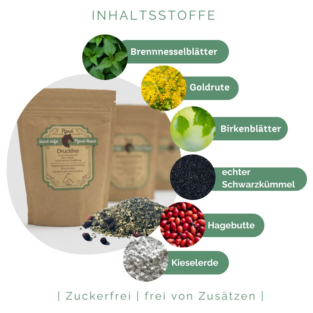 Drei Beutel mit Kräutermischung. Grafische Darstellung der Inhaltsstoffe: Brennnesselblätter, Goldrute, Birkenblätter, etc.