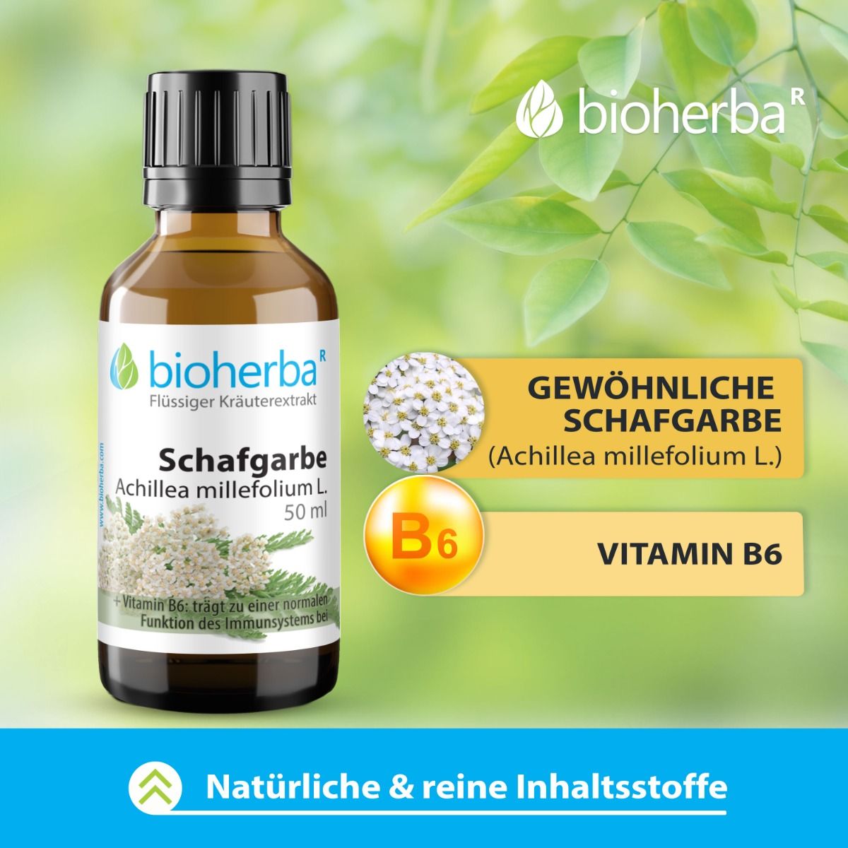 Schafgarbe Achillea millefolium L. 50 ml  PZN 17187451
