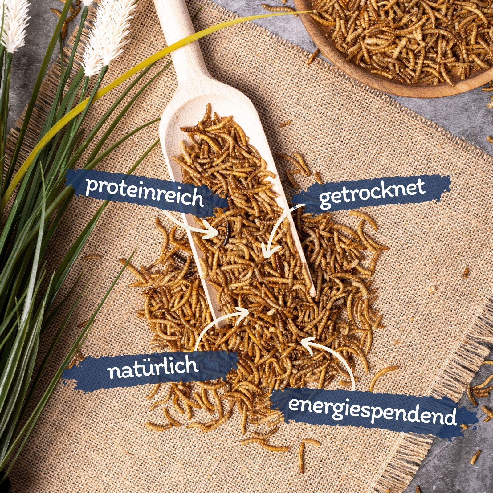 Getrocknete Mehlwürmer auf einem Holzlöffel, umgeben von weiteren Würmern auf Jute.