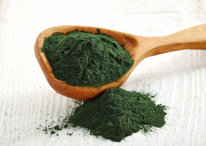 buXtrade Bio Chlorella Pulver