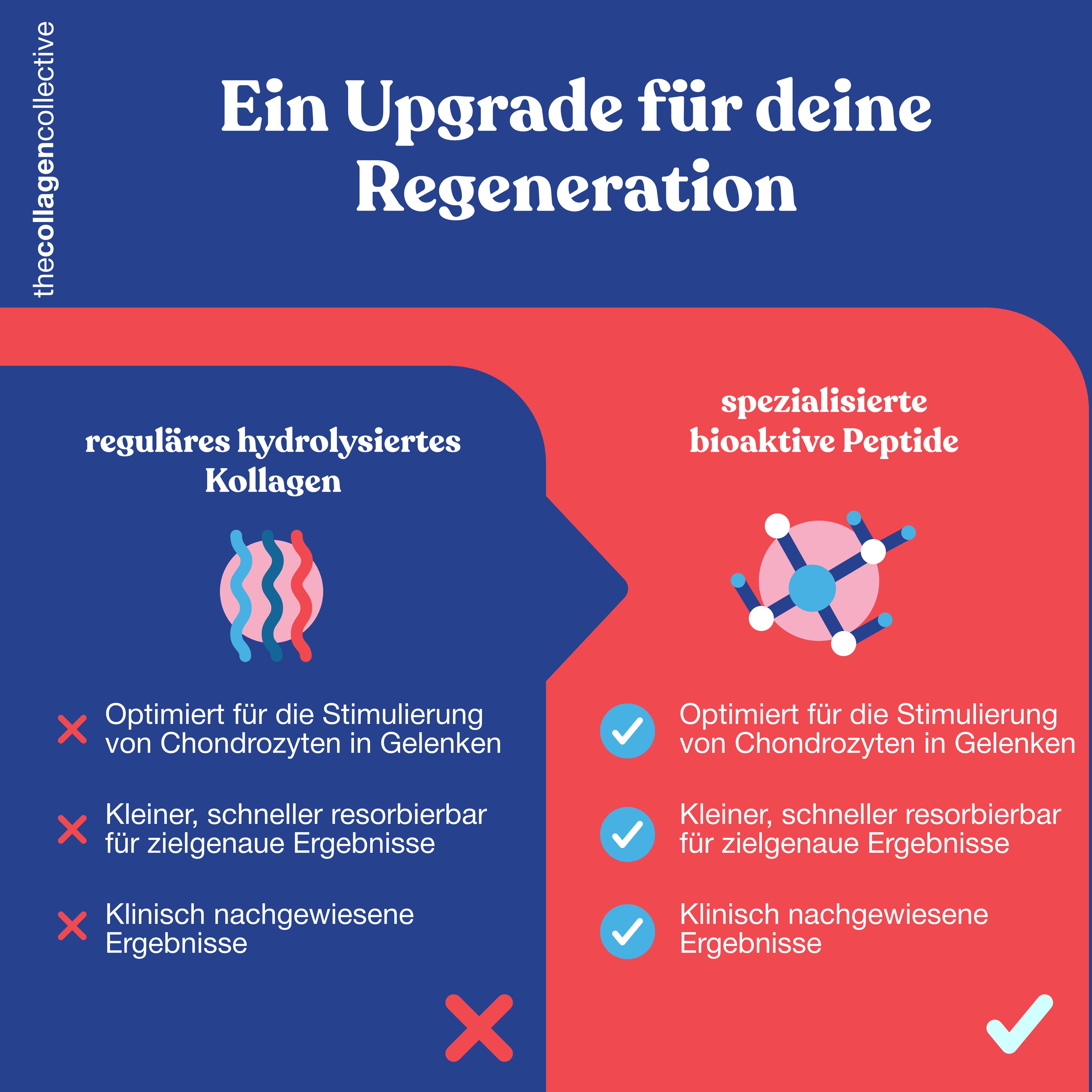 Infografik. Vergleich von regulärem und spezialisiertem Kollagen. Roter und blauer Hintergrund. Text und Symbole.