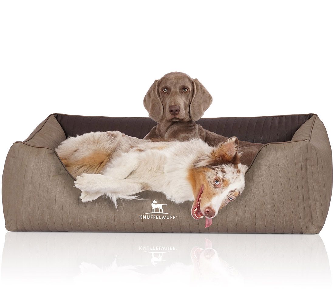Hundebett Outlander mit zwei Hunden. Beige-braune Farbe, rechteckige Form. Logo Knuffelwuff.