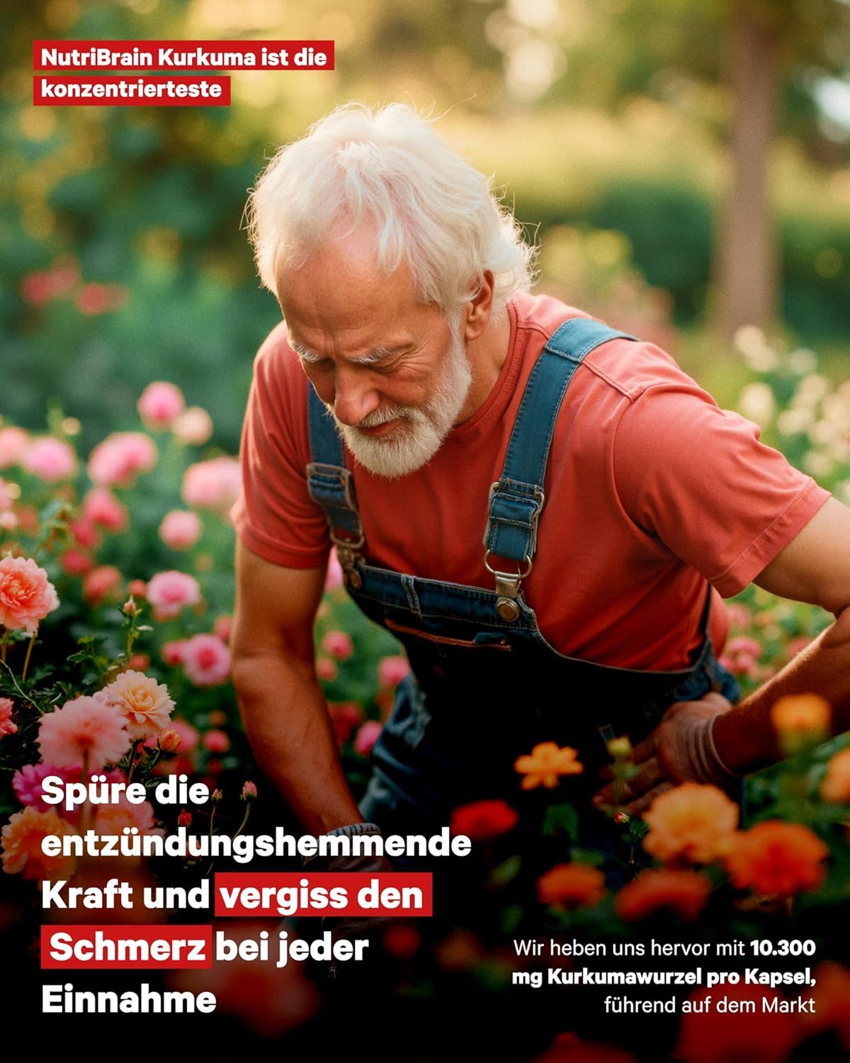 NUTRIBRAIN Kurkuma Kapsel