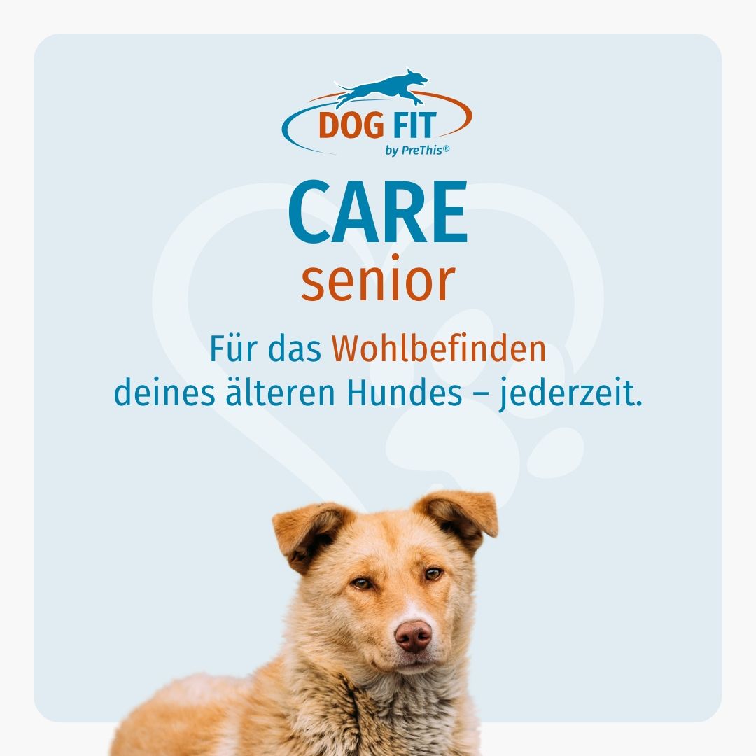 DOG FIT by PreThis® CARE senior » Ergänzung für ältere Hunde (medium)