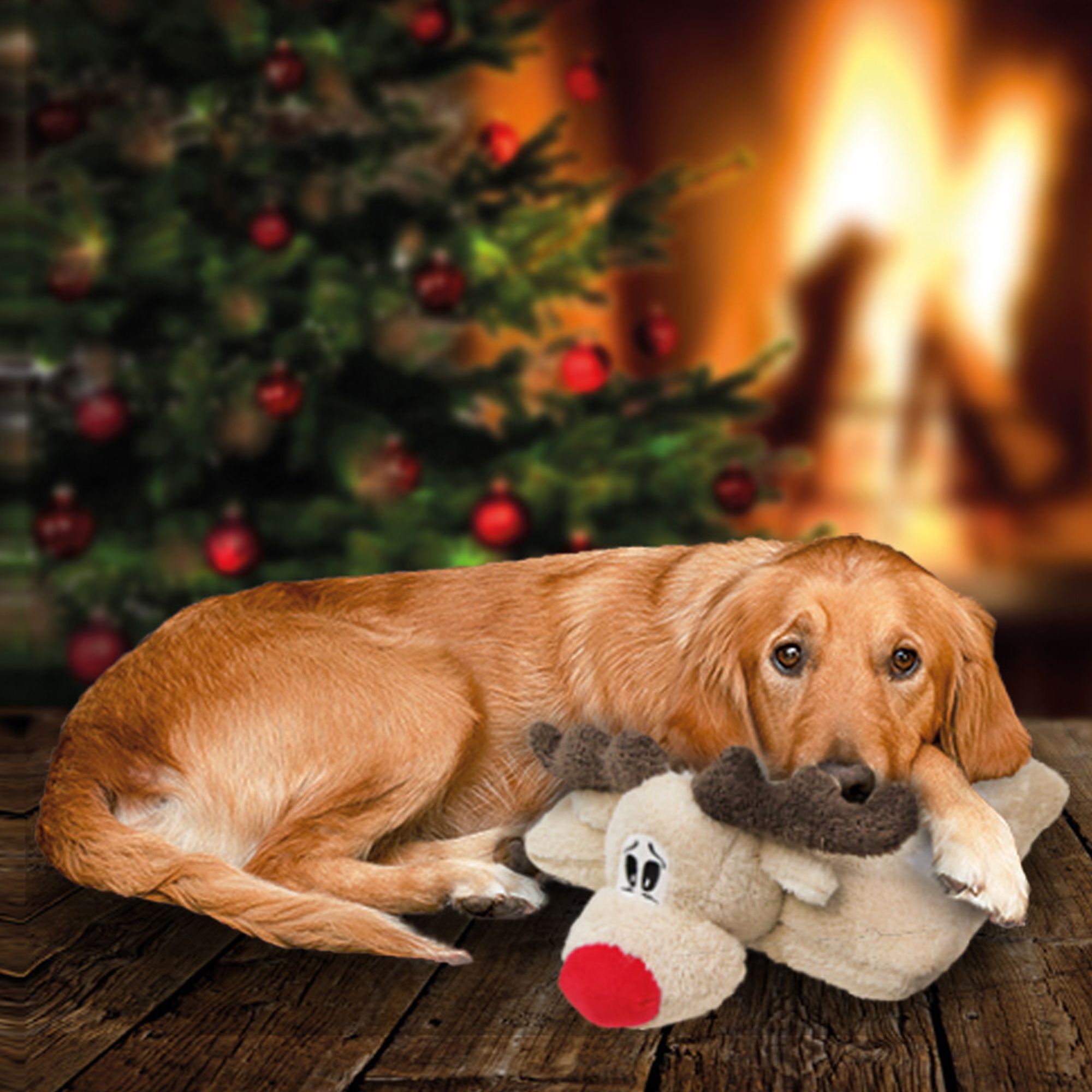 Kopfkissen "Red Nose Elch" für Hunde - Weihnachten - Kuscheln und Spielen im einem