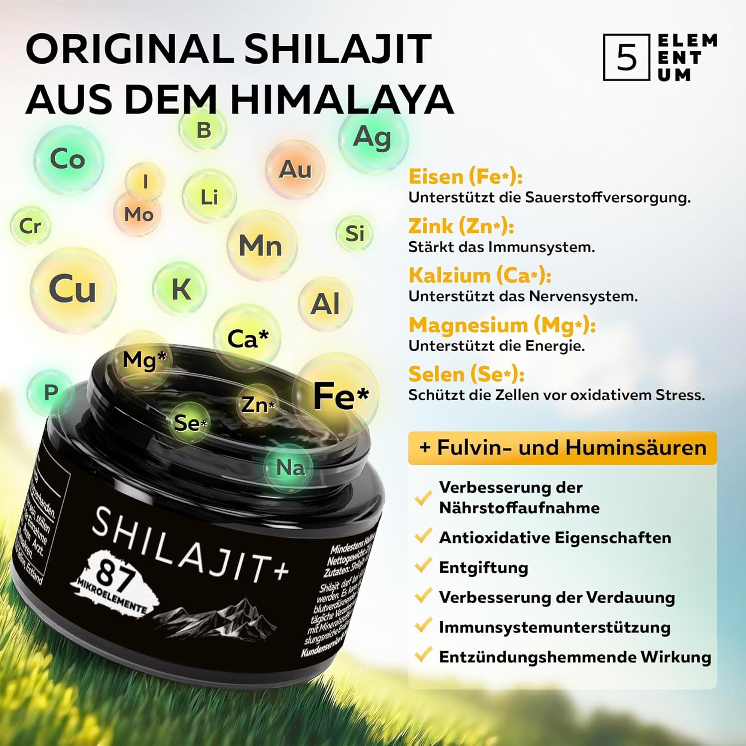5Elementum Shilajit