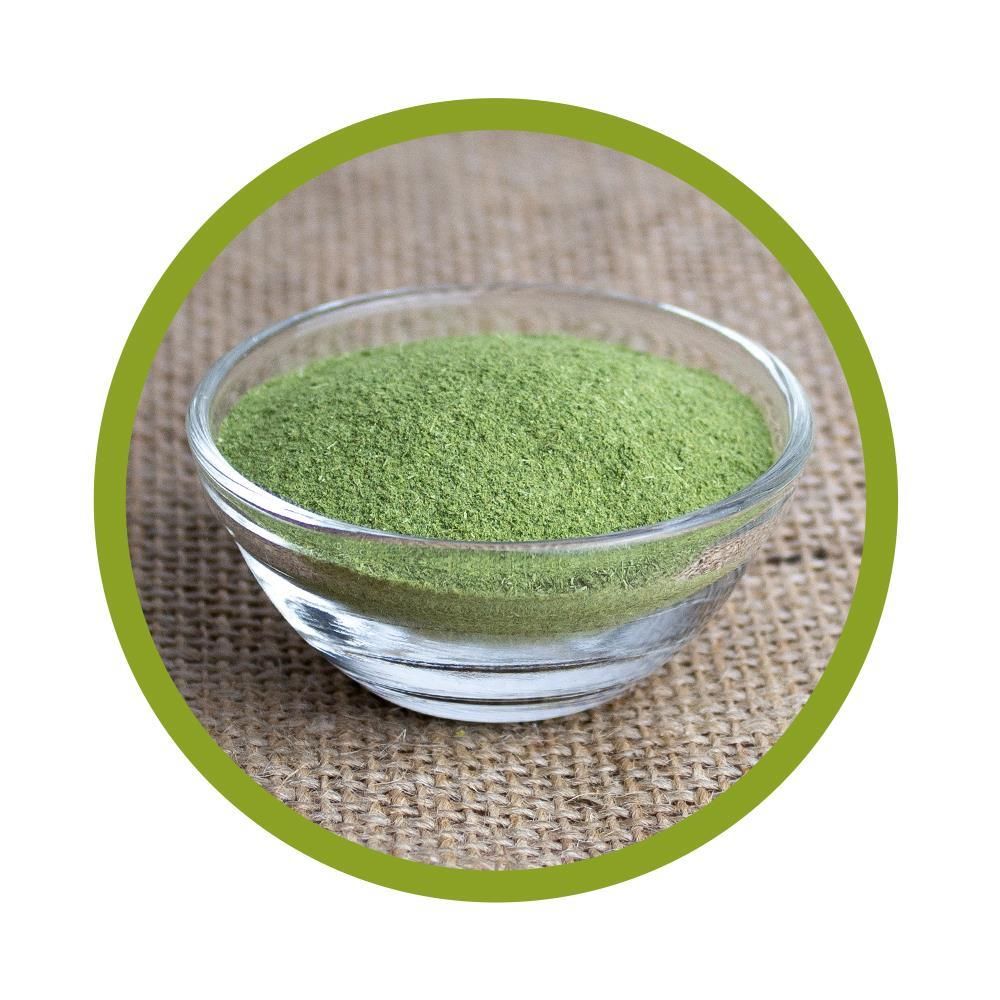 vitalundfitmit100® Bio Weizengras Pulver