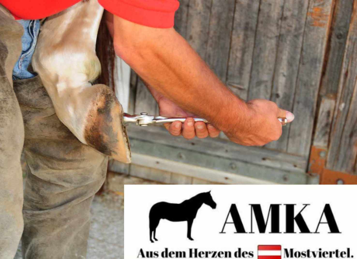 AMKA Hufmesser rechts einschneidig mit Holzgriff