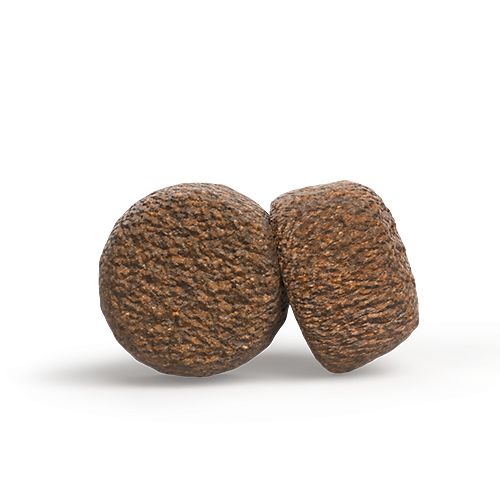 Zwei runde, braune Futterbrocken mit rauer Oberfläche, vor weißem Hintergrund.