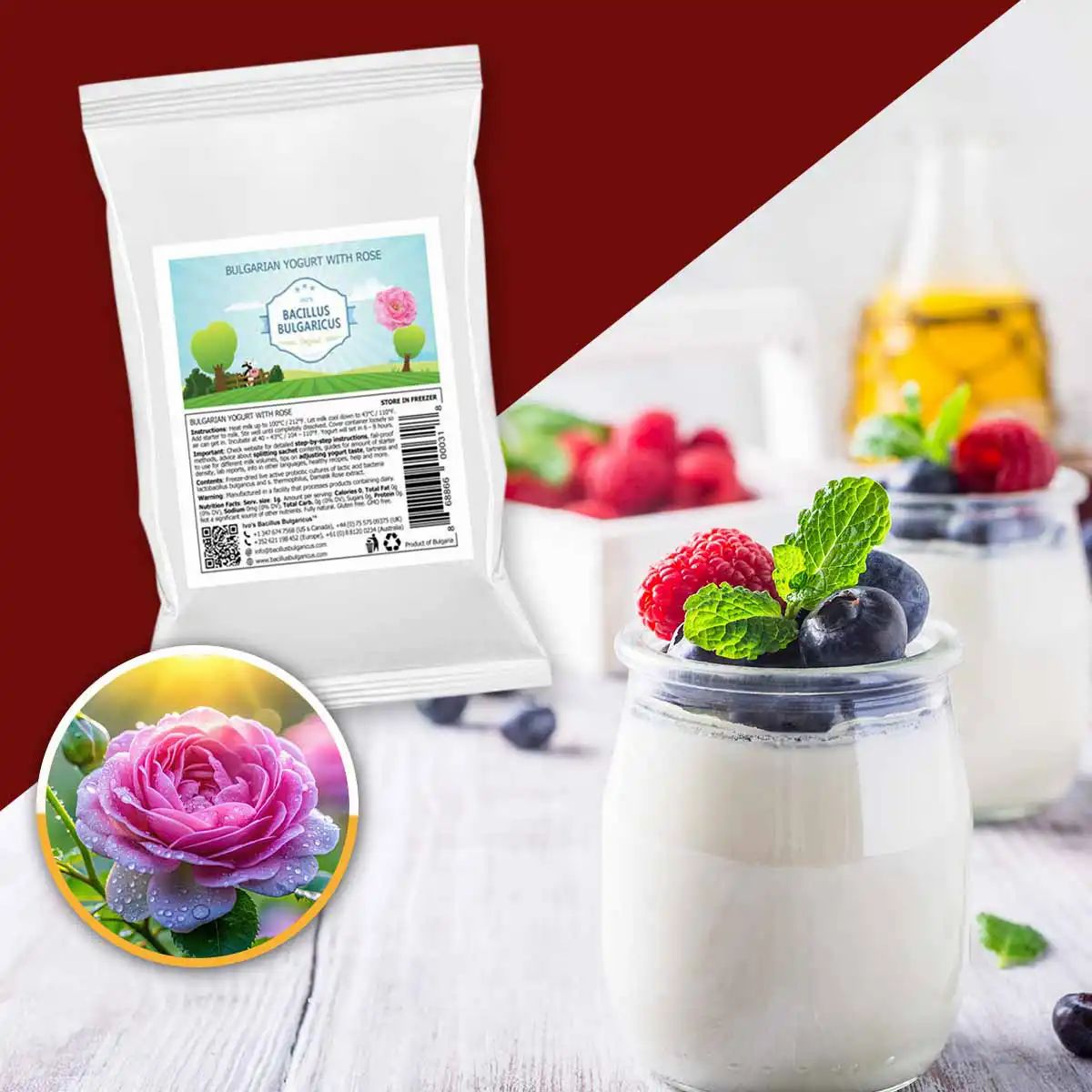 BACILLUS BULGARICUS Bulgarische Rosen-Joghurt-Kulturen