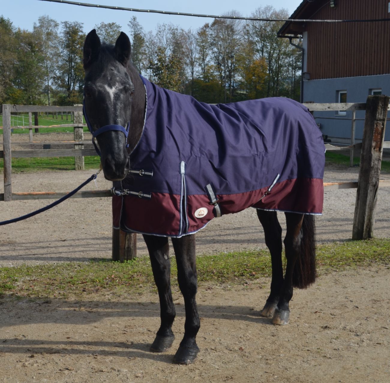 AMKA Pferde Weide Outdoordecke