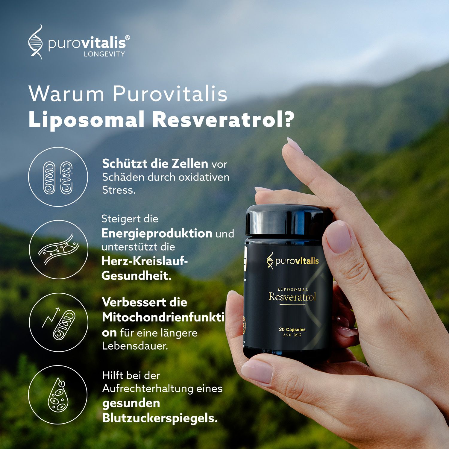 Hände halten eine Dose 'Purovitalis Liposomal Resveratrol'. Text: 'Warum Purovitalis Liposomal Resveratrol?'