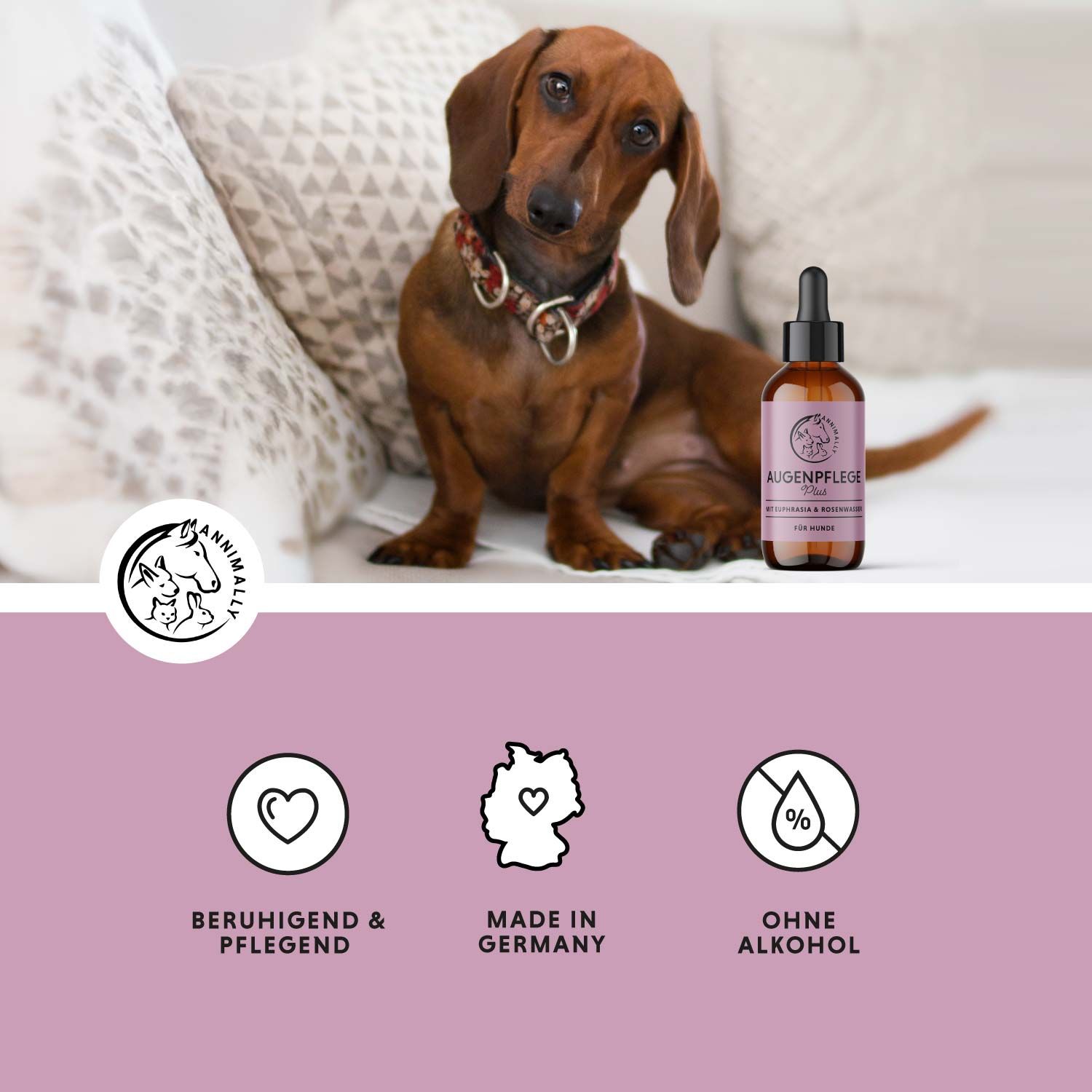 Annimally Augenpflege Plus mit Euphrasia & Rosenwasser