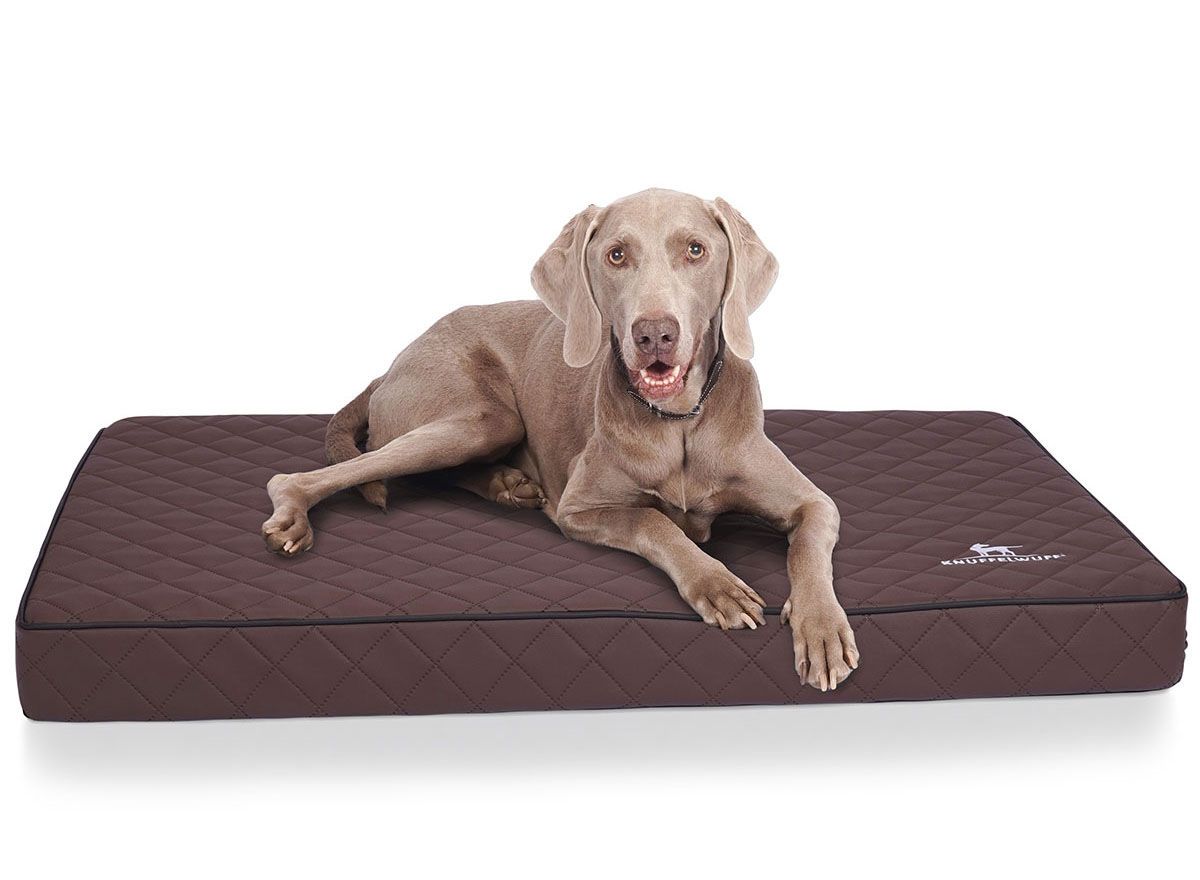 Hund liegt auf brauner, rechteckiger Hundematte mit Rautenmuster und Logo. Orthopädische Hundematte Juna.
