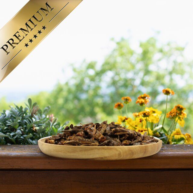 Getrocknete Heuschrecken in einer Holzschale. Im Hintergrund: Fenster mit Bäumen und Blumen. Aufschrift: PREMIUM.