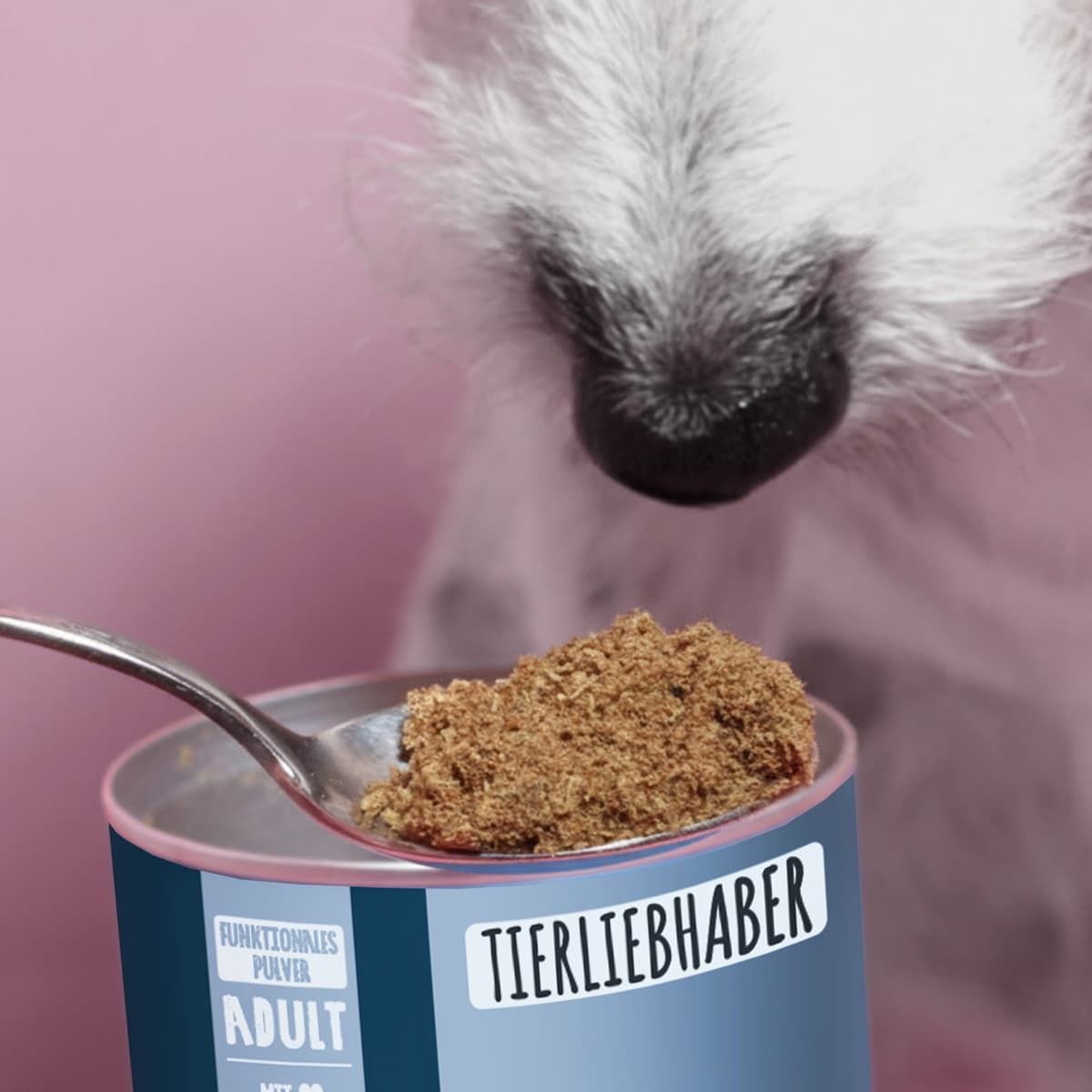 Hundeschnauze über einem Löffel mit Z-Pulver aus einer Dose.