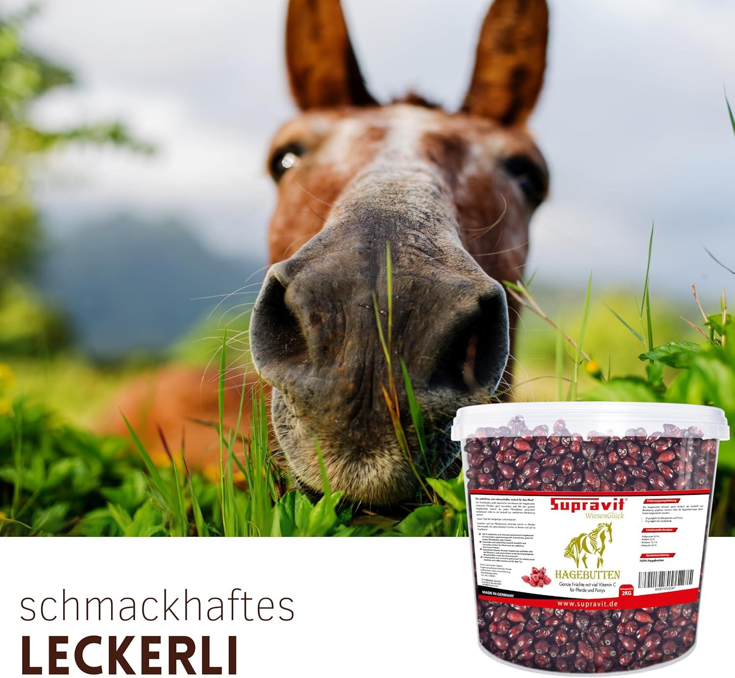 Pferd mit Nase im Gras. Eimer mit Hagebutten-Produkt, Text: Schmackhaftes Leckerli.