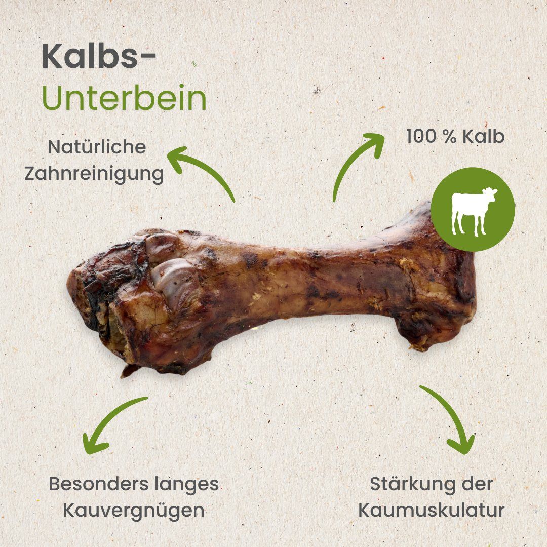 Textgrafik erklärt Vorteile von Kauartikeln für Hunde: Beschäftigung, Protein, Zahnpflege, Stressabbau.