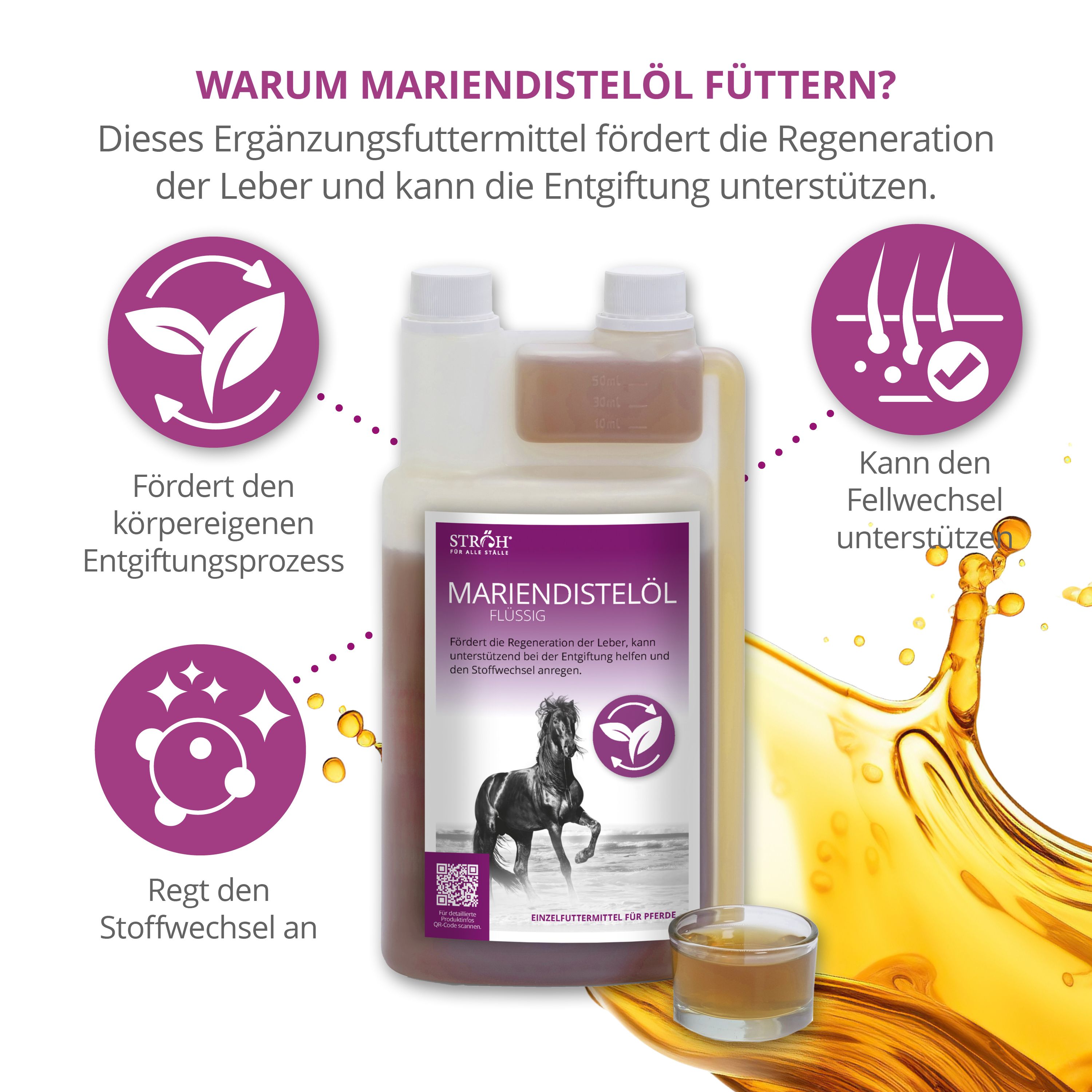 Mariendistelöl Flüssig-Flasche mit Logo und Pferd. Neben einer kleinen Schale mit Flüssigkeit. Text und Infografiken.
