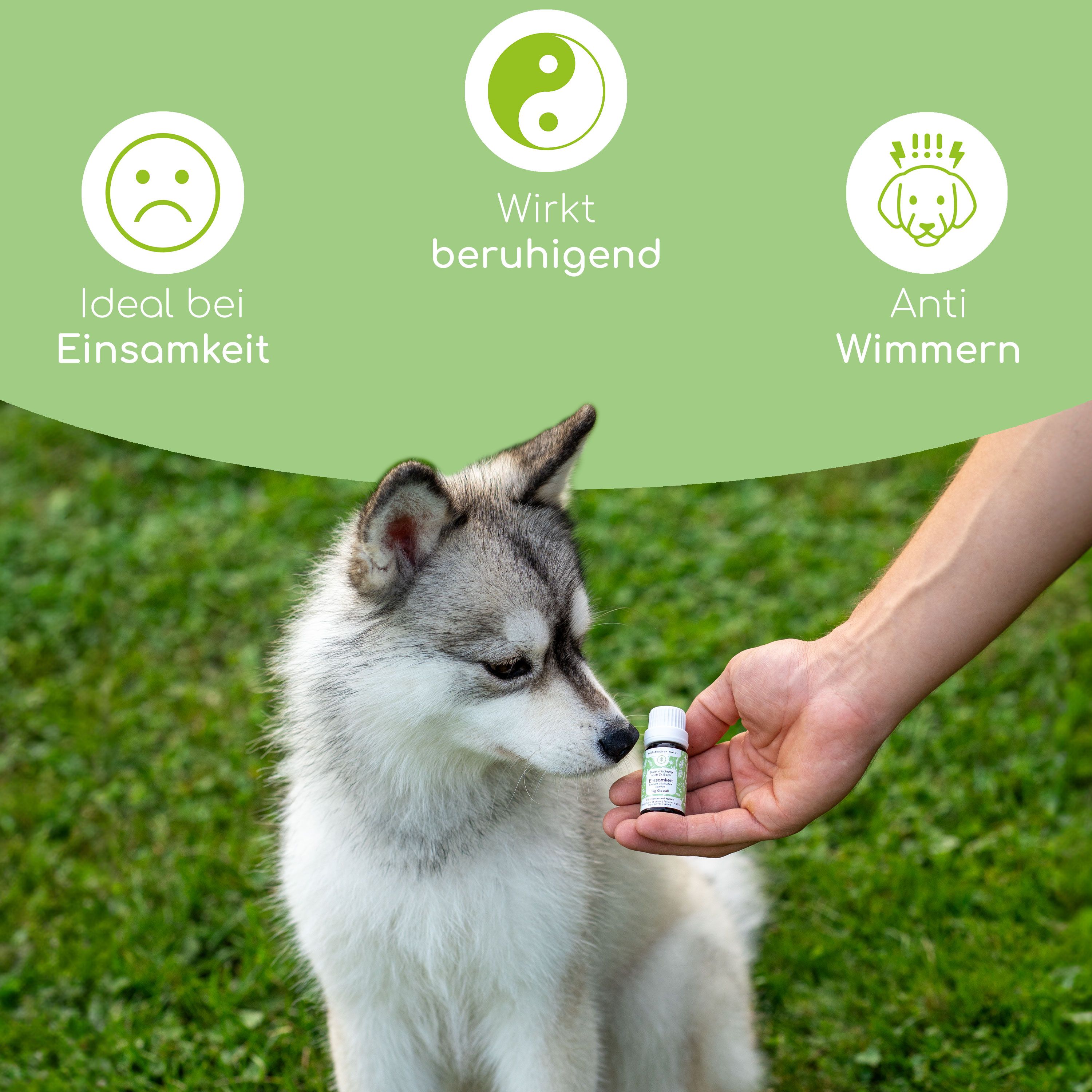Hund schnuppert an einer kleinen Flasche. Text: Ideal bei Einsamkeit, Wirkt beruhigend, Anti Wimmern.