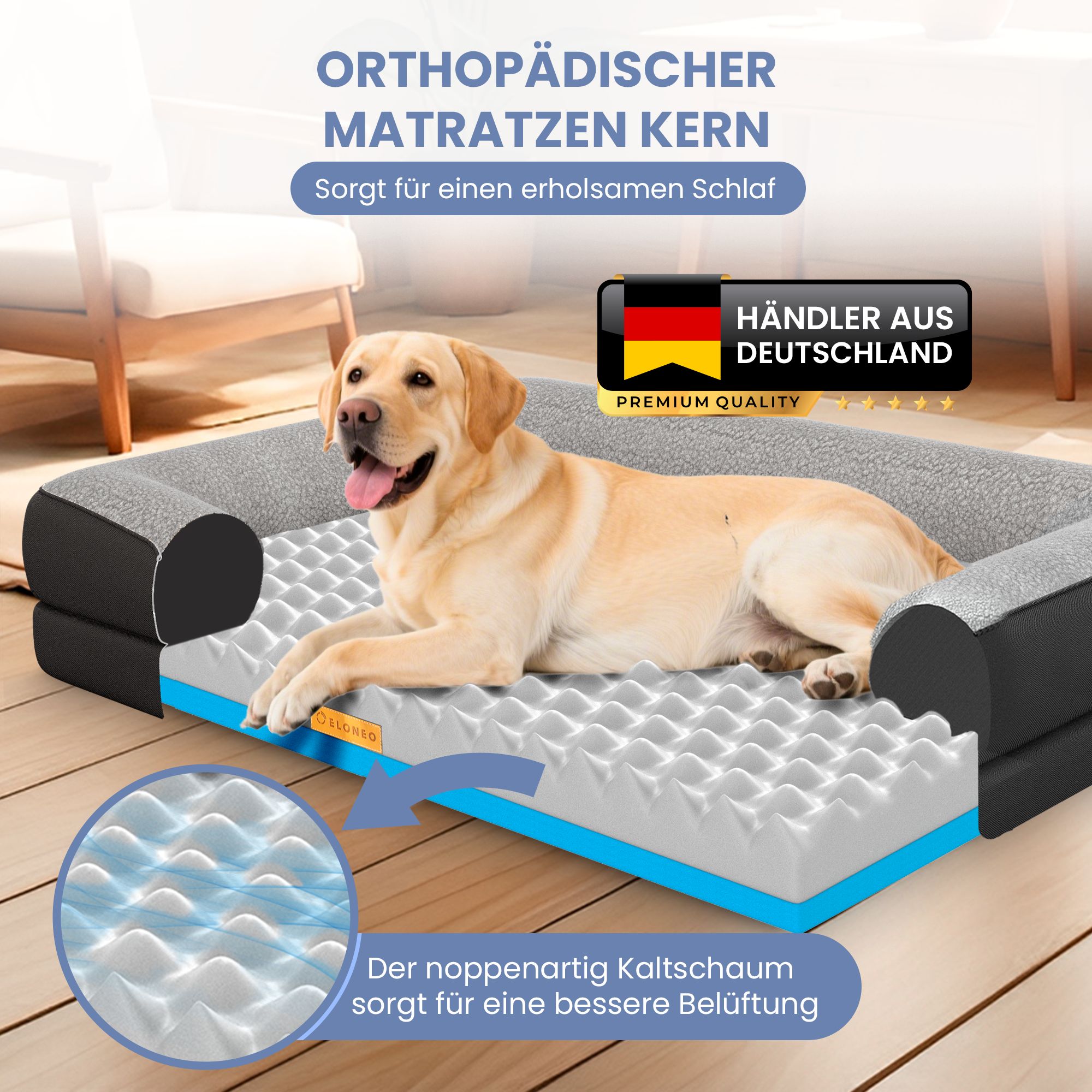 Orthopädisches Hundebett, schwarz. Graue Liegefläche mit Noppen. Hund liegt im Bett. Logo und Text.