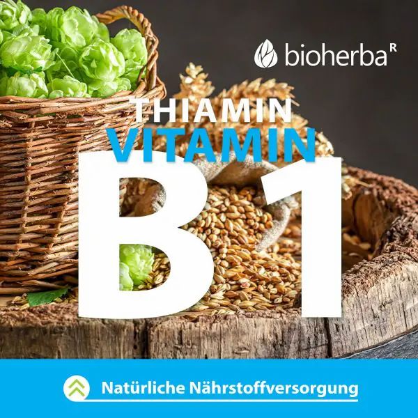 Korb mit Hopfen und Getreide. Vitamin B1. Natürliche Nährstoffversorgung.