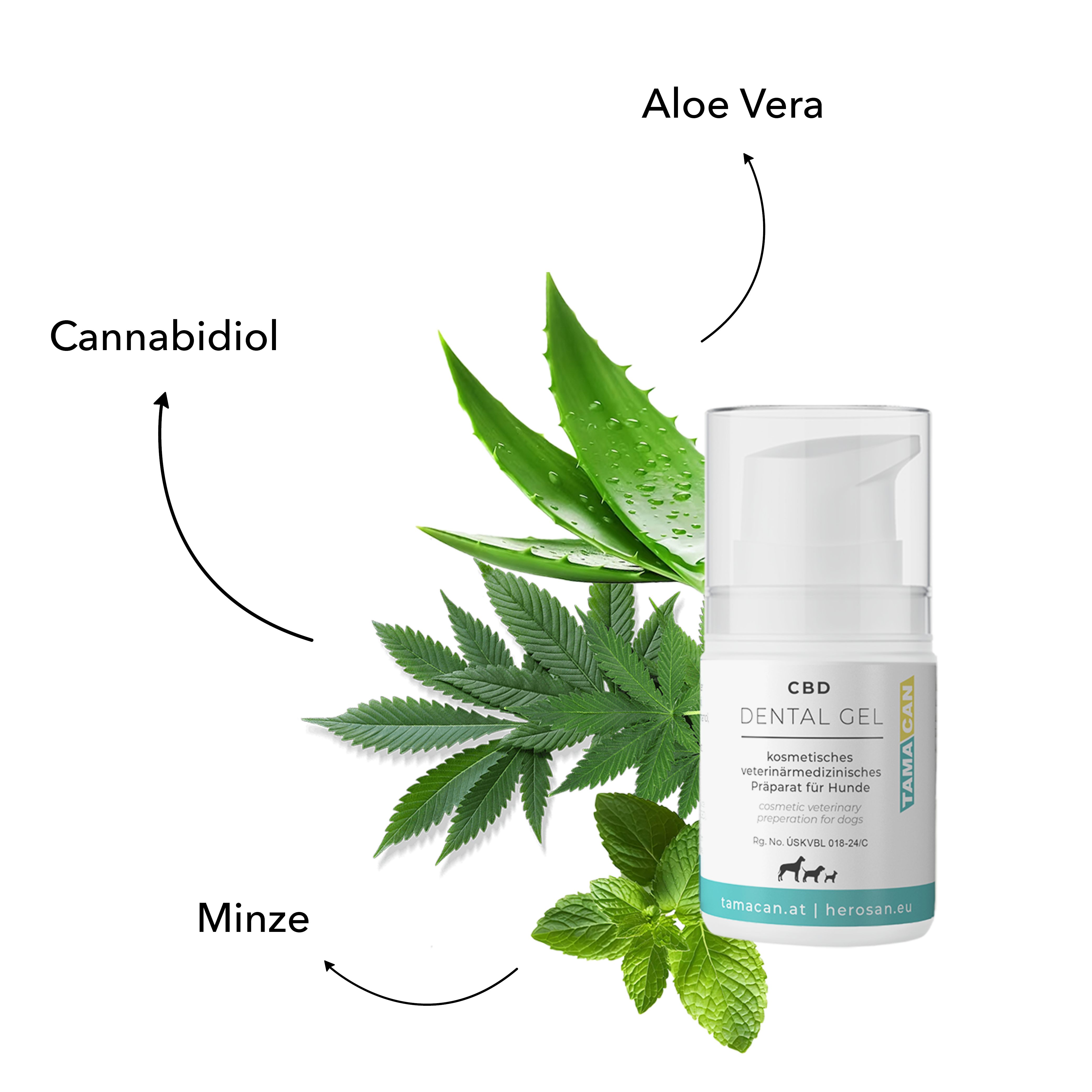 TAMACAN Dental Gel für Hunde - Zahnpflege mit CBD