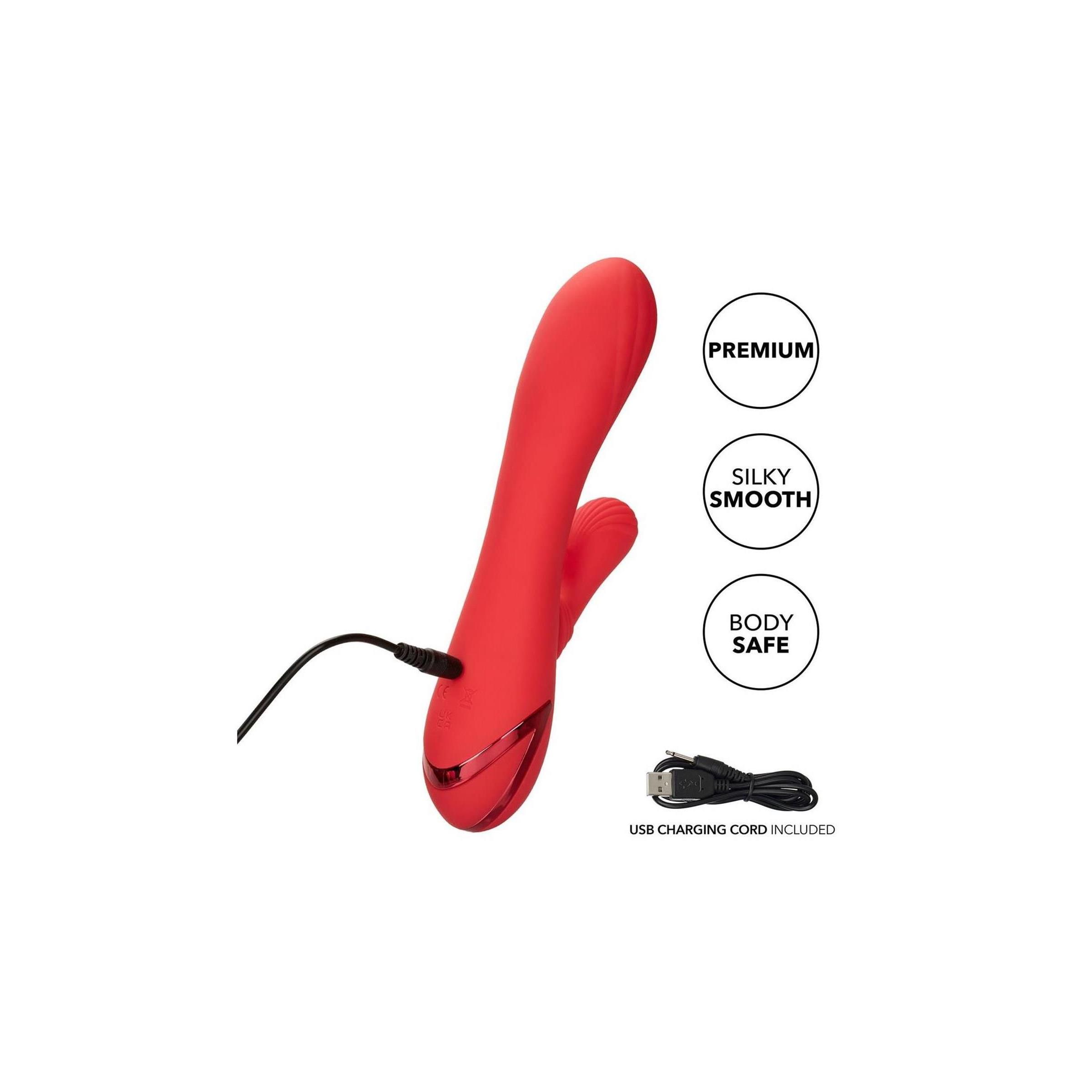 Roter Vibrator mit USB-Ladekabel. Symbole: Premium, Silky Smooth, Body Safe.