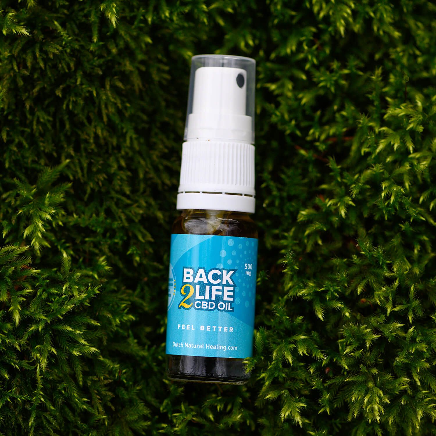 CBD Öl Flasche mit Sprühkopf auf Moos, Etikett mit 'BACK 2 LIFE CBD OIL 500 mg'.