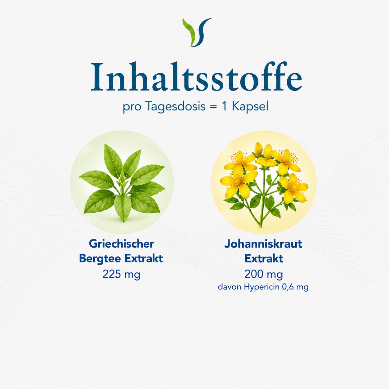 Inhaltsstoffe pro Tagesdosis: Griechischer Bergtee Extrakt 225 mg, Johanniskraut Extrakt 200 mg (davon Hypericin 0,6 mg).