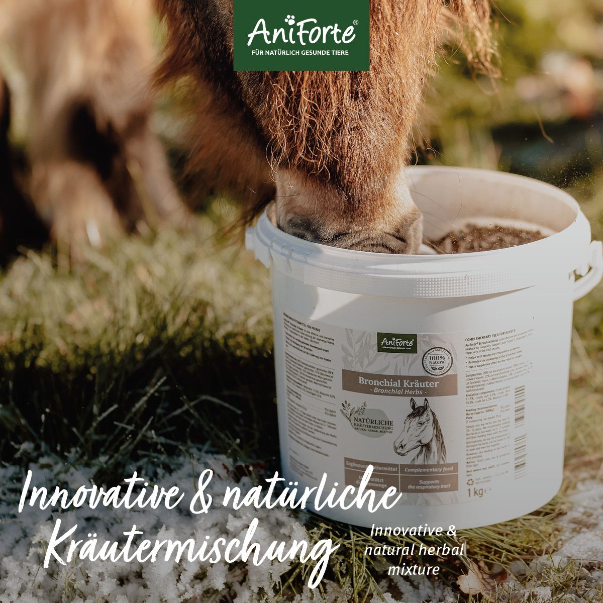 AniForte Bronchial Kräuter 1 kg