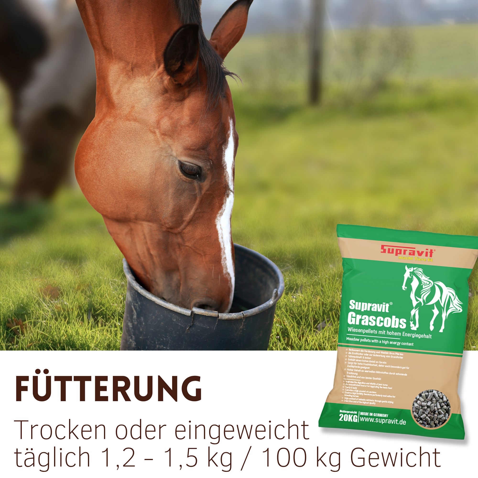 Pferd frisst aus einem Eimer. Rechts: Supravit Grascobs-Beutel. Text: Fütterung. Trocken oder eingeweicht täglich 1,2 - 1,5 kg / 100 kg Gewicht.
