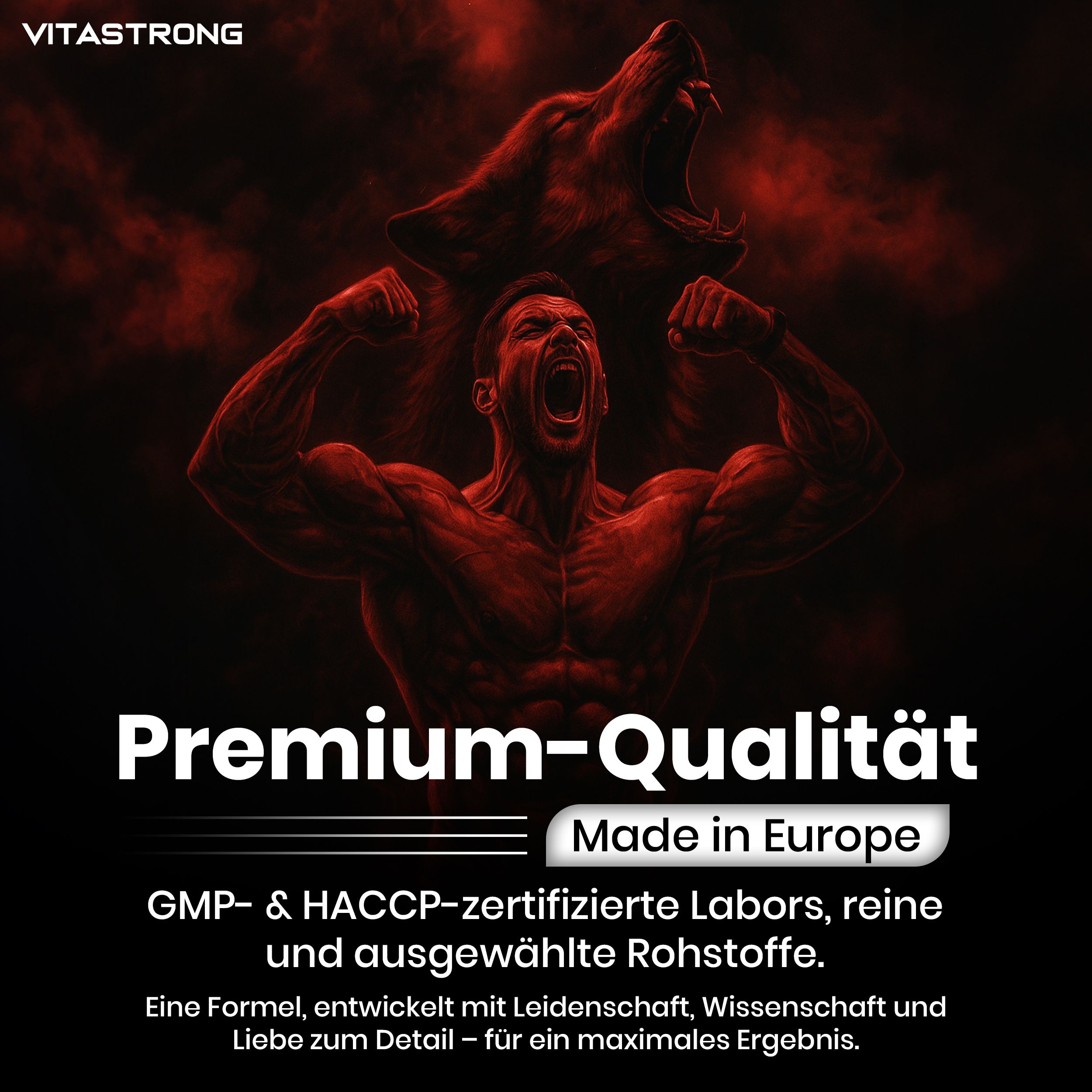 Vitastrong. Text: Premium-Qualität. Made in Europe. GMP- & HACCP-zertifiziert. Reine Rohstoffe. Für maximale Ergebnisse.