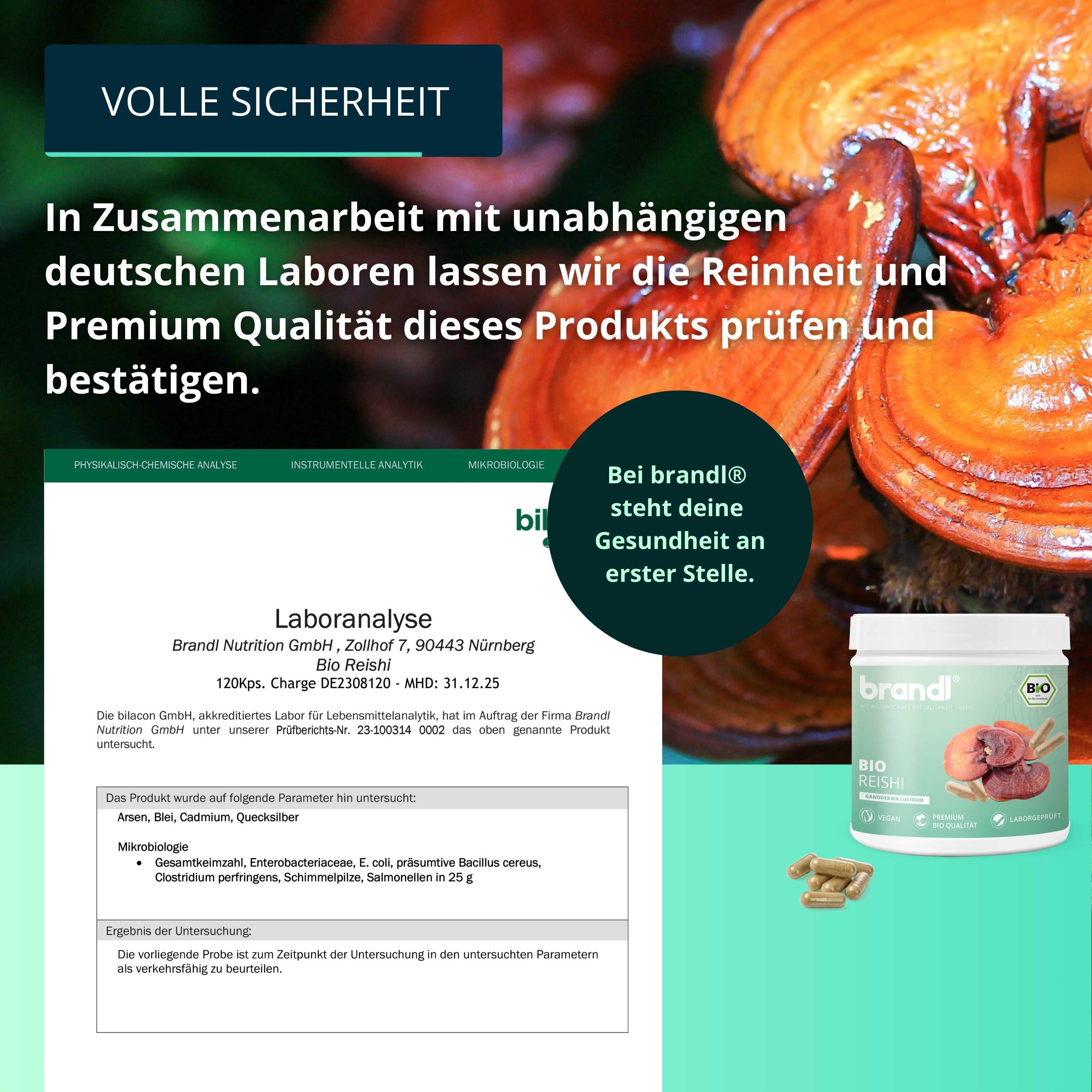 brandl® Bio Reishi Vitalpilz