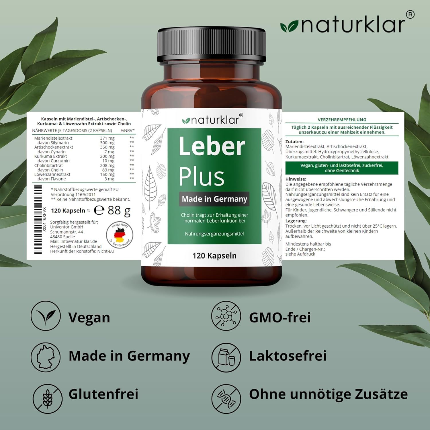 Braune Flasche mit Kapseln. Etikett "Leber Plus", 120 Kapseln. Logos: Vegan, GMO-frei, Made in Germany, Laktosefrei, Glutenfrei.