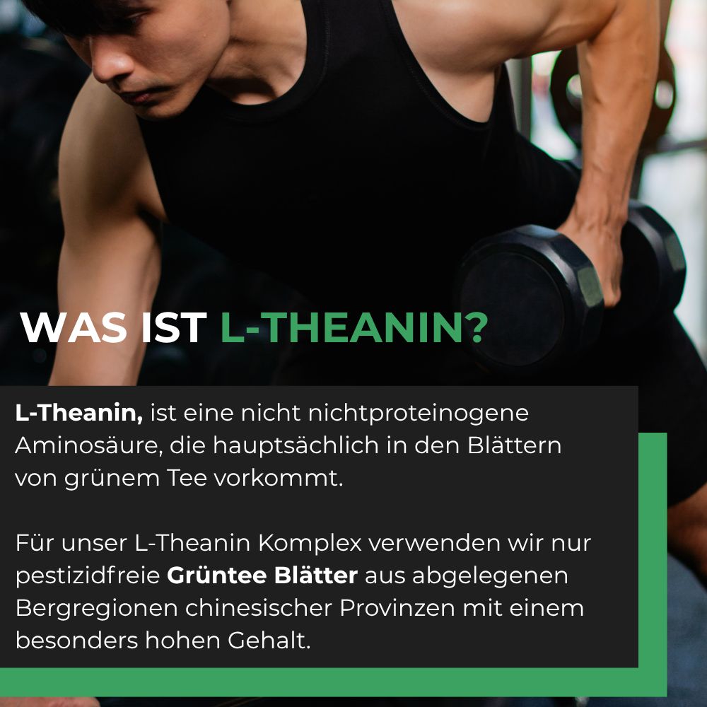 Body Ex® L-Theanin Komplex, Grünteeblatt-Extrakt & mit Vitamin B6