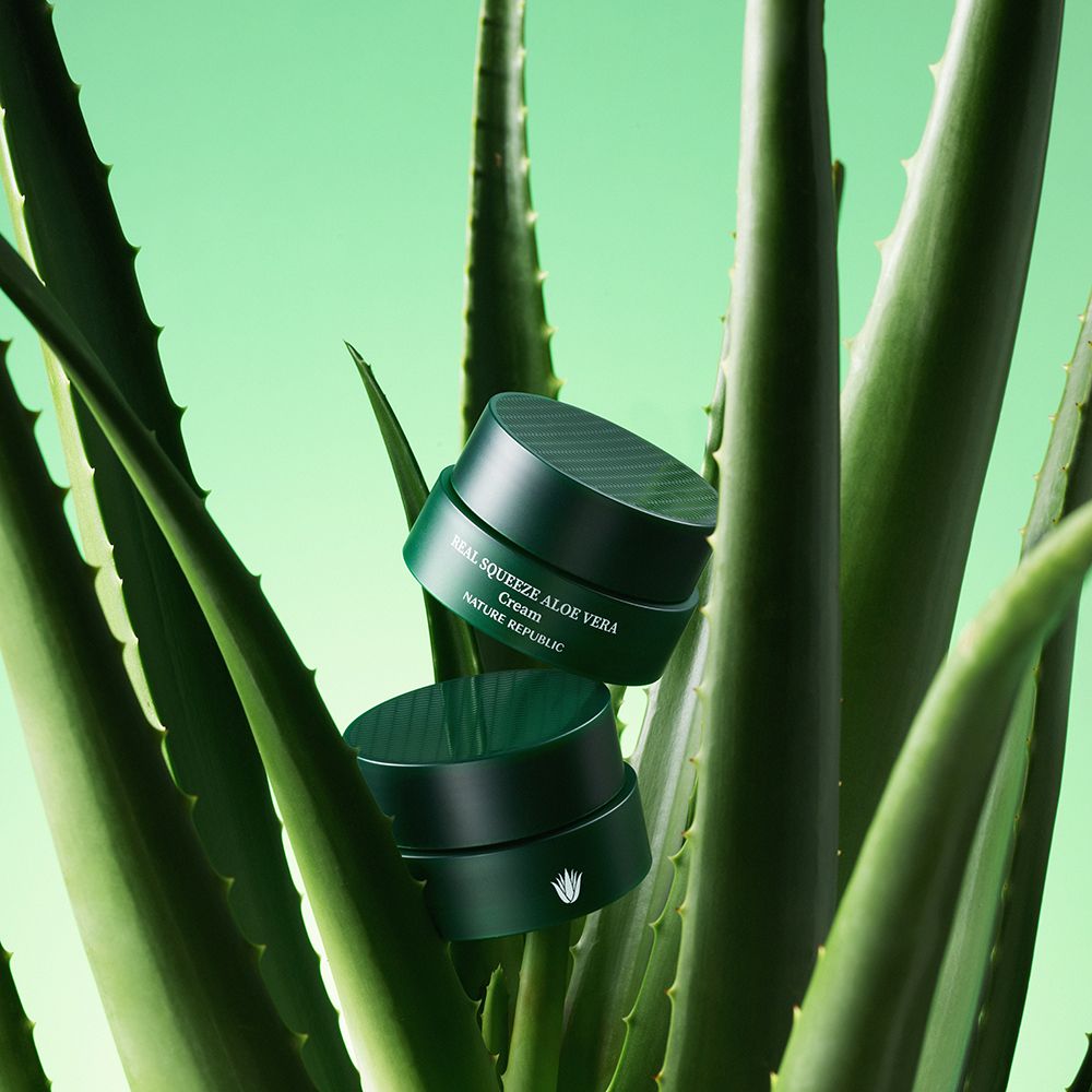 Zwei grüne Tiegel NATURE REPUBLIC Real Squeeze Aloe Vera Cream, umgeben von Aloe Vera Blättern. Aufschrift: Real Squeeze Aloe Vera Cream.