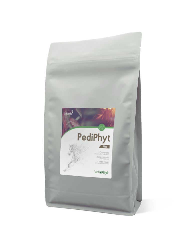 Graue Verpackung mit Etikett. Aufschrift: PediPhyt, Pferd, VetoPhyt. Abbildung eines Pferdes.