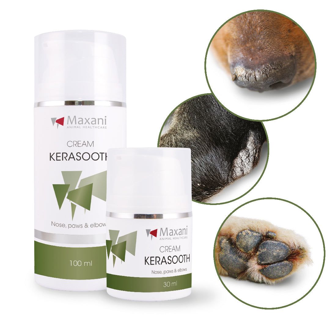 Zwei weiße Cremetuben, eine 100 ml, eine 30 ml, mit grünen Etiketten. Text: Maxani, KeraSooth Cream. Drei Nahaufnahmen: Hundeschnauze, Pfote, Ellenbogen.
