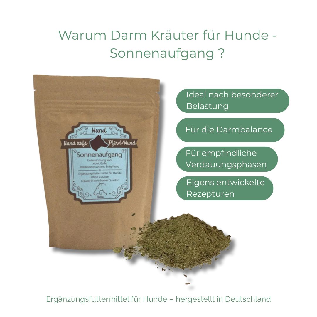 Braune Kräutertüte mit Etikett, daneben grünes Kräuterpulver. Text mit grünen Rechtecken: Darmbalance, Rezepte.