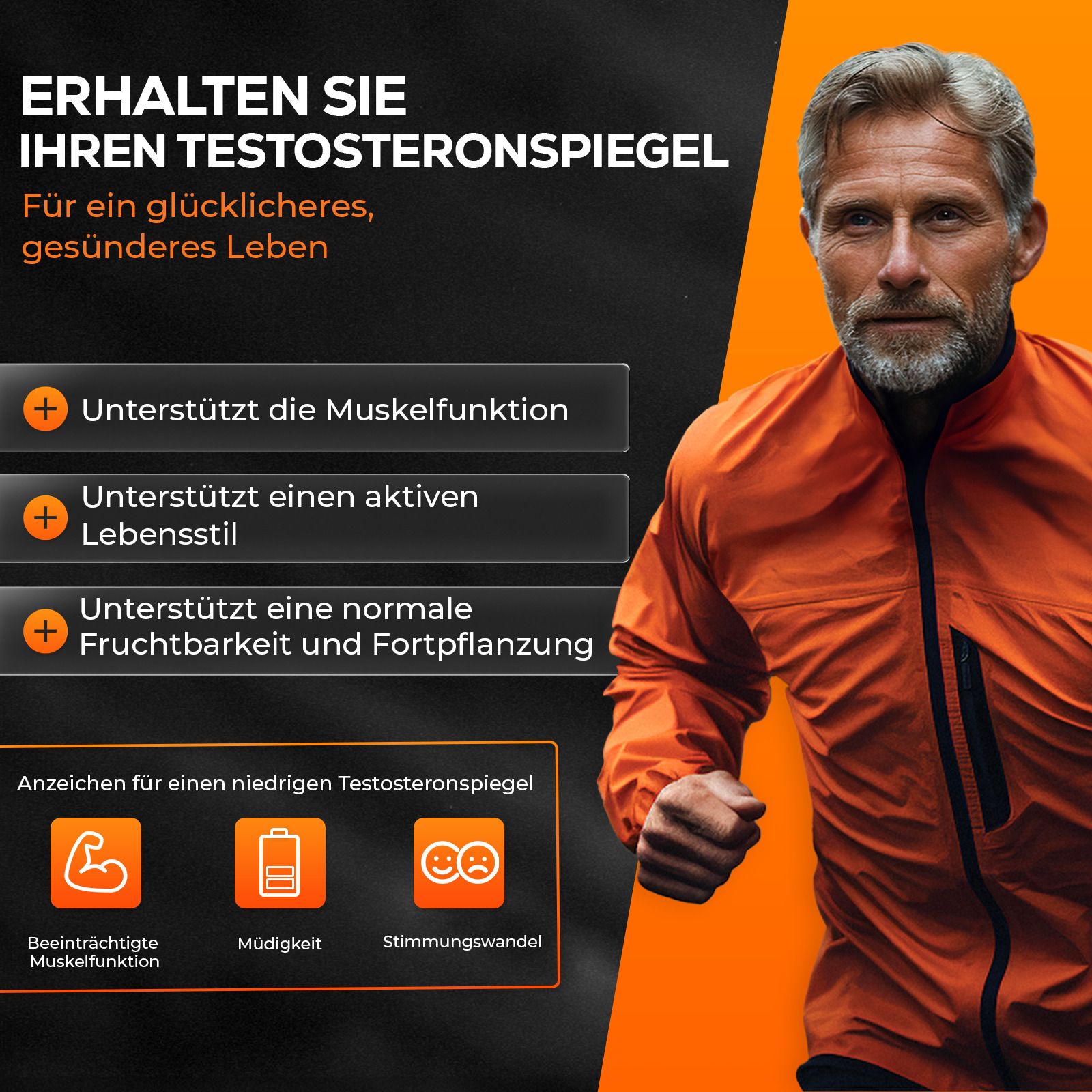4HIM TestoBalance - Energie und Muskelfunktion - Mit Zink, Ginseng & L-Arginin
